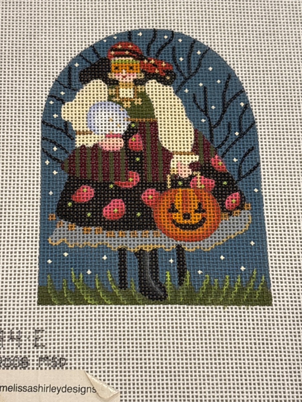 Melissa Shirley Fortune Teller Needlepoint